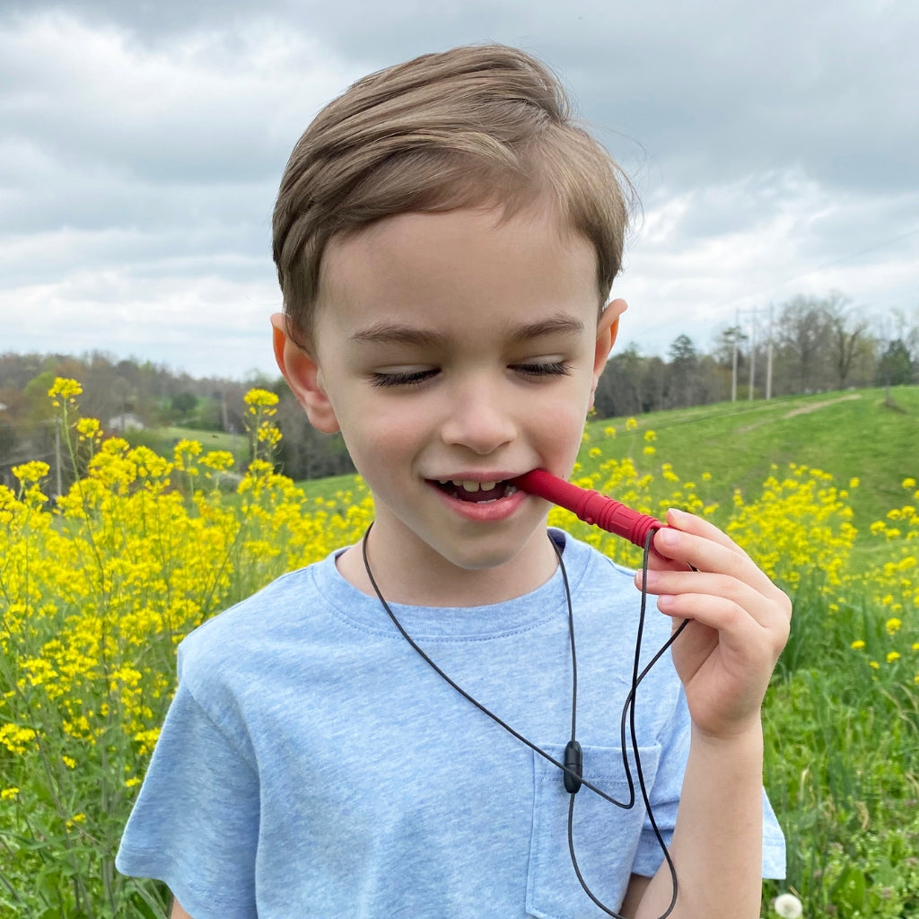 Sensory Chewelry