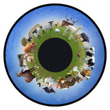 Optikinetics 6" Picture Effect Wheels