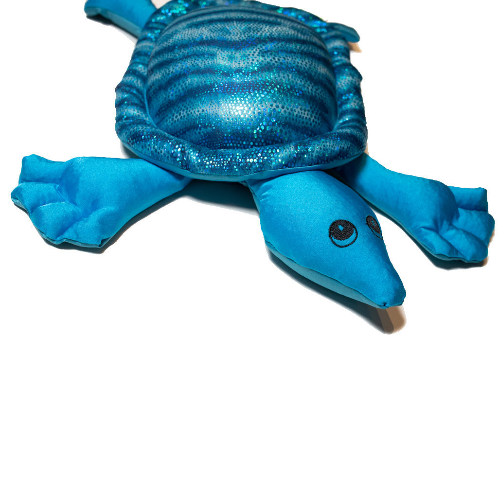 weighted turtle closeup