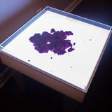 Nova™ Multi-Sensory Light Table