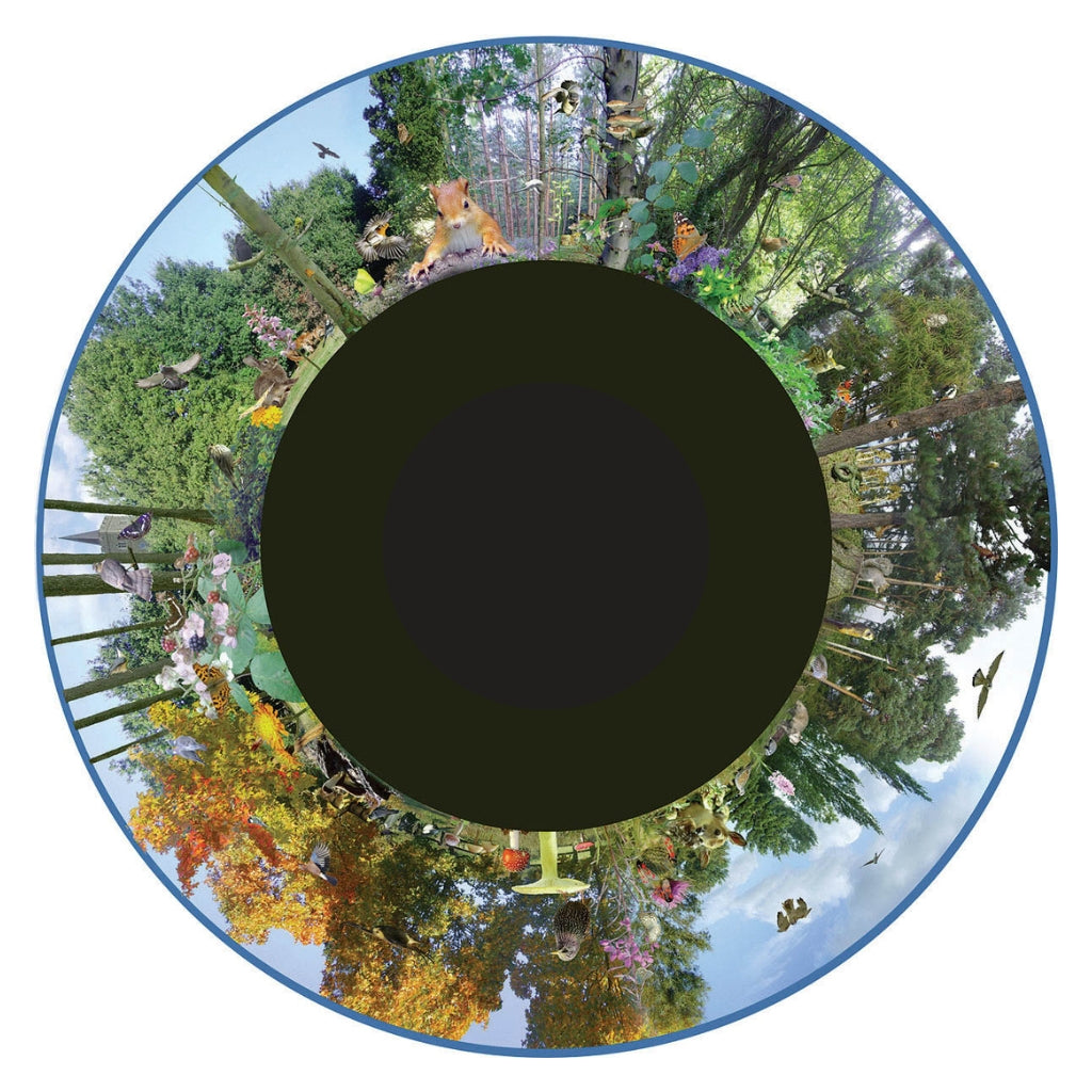 Optikinetics 9" Max Effect Picture Wheels